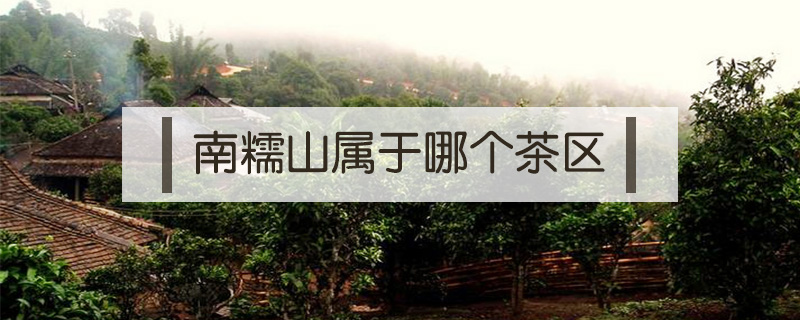 南糯山属于哪个茶区