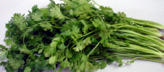 香菜的做法如何腌制,新鲜香菜怎么腌制咸菜