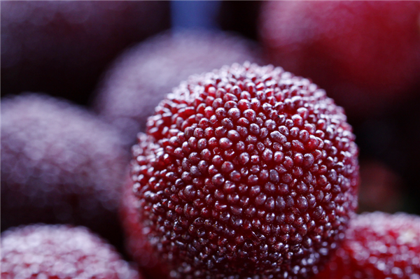 杨梅什么时候上市 杨梅是什么季节的水果