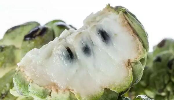 释迦果的籽能吃吗,释迦果籽可不可以吃(释迦果籽不小心吃了不会中毒)