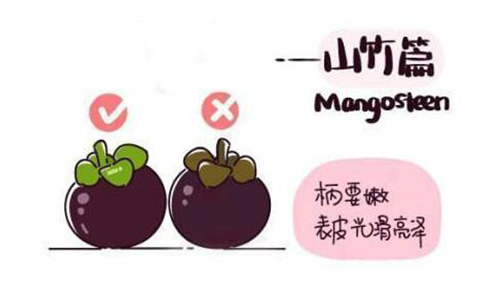 山竹水果的正确吃法漫画,挑选水果的正确吃法山竹篇
