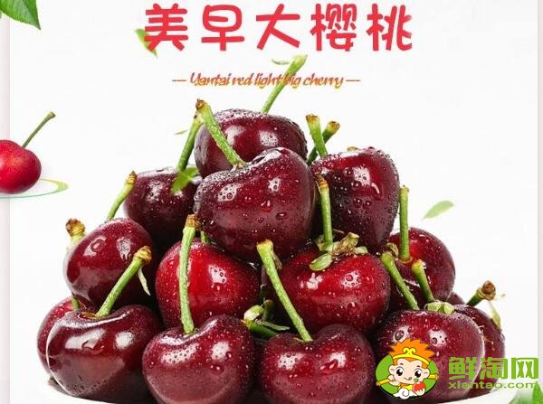山东烟台的樱桃什么时候成熟,烟台樱桃成熟的季节初夏4月中旬