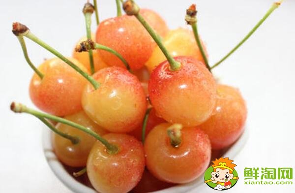 山东烟台的樱桃什么时候成熟,烟台樱桃成熟的季节初夏4月中旬