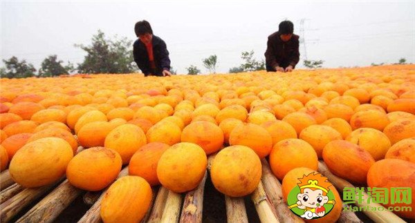 柿子饼怎么做,柿子饼的做法(五步轻松学会)