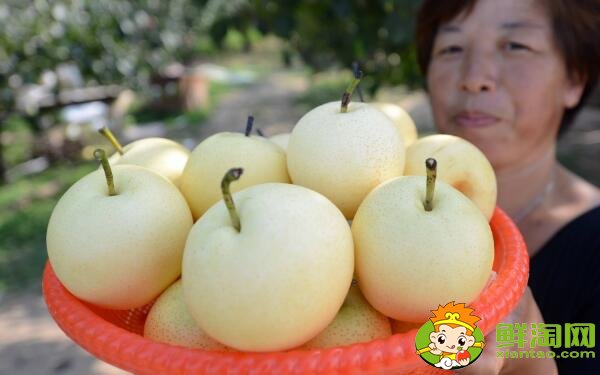 孕妇可以吃的水果排行,不同阶段孕妇必吃的五大水果