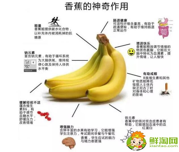 吃香蕉有什么好处,虽不包治百病但可直接帮助我们心、脑问题