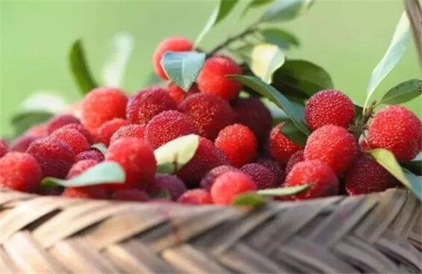 哺乳期吃杨梅上火吗,哺乳期有点上火可以吃杨梅吗