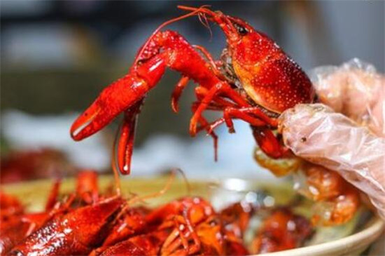 小龙虾是入侵物种吗,中国小龙虾的来历