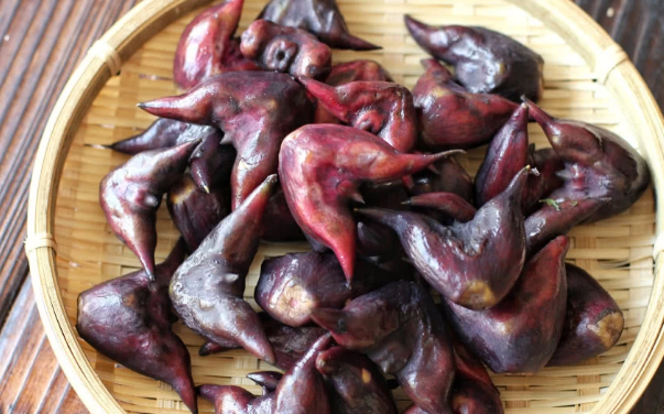 菱角长在哪里,菱角什么时候成熟