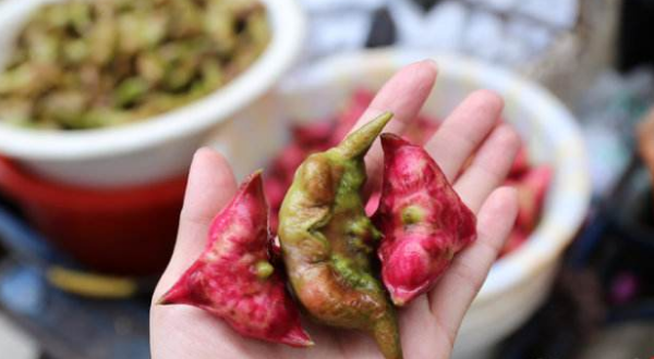 菱角长在哪里,菱角什么时候成熟