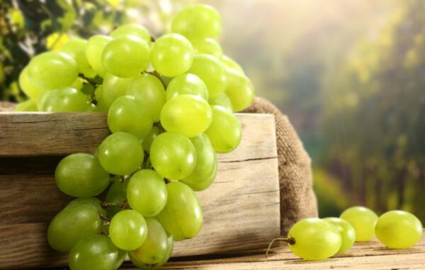 吃葡萄能减肥吗，晚上吃葡萄会胖吗