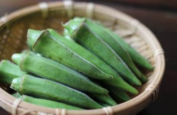 秋葵在浙江什么时候可以种植,秋葵刚结果什么时候可以摘