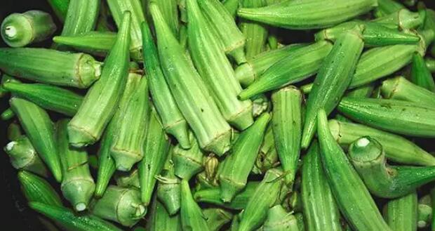 秋葵什么时候结果,秋葵可以生吃吗