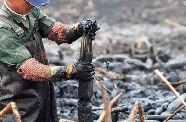 莲藕在我国的主要产地,中国最好的莲藕产地