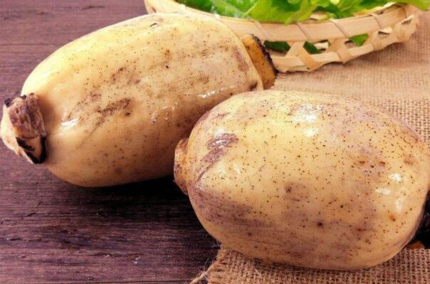 新垦莲藕是粉的还是脆的,新垦莲藕怎么是脆的