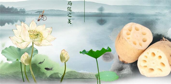 雪藕和莲藕区别,雪莲藕种在哪里买