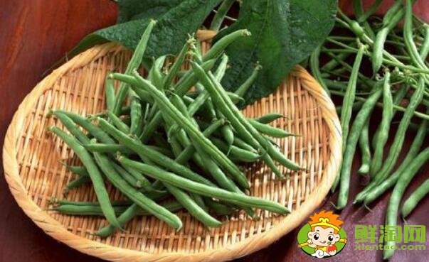 四季豆是什么样子的,四季豆是什么颜色的