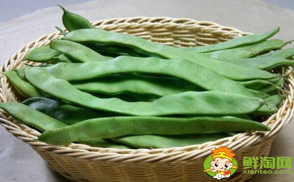 芸豆跟蚕豆是一样的吗,芸豆和蚕豆的区别