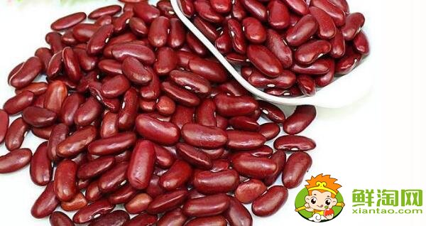 红芸豆和红腰豆的外观区别,红芸豆和红腰豆的区别在哪