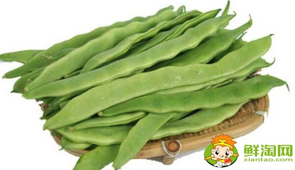刀豆是扁豆吗，白扁豆和芸豆有什么区别
