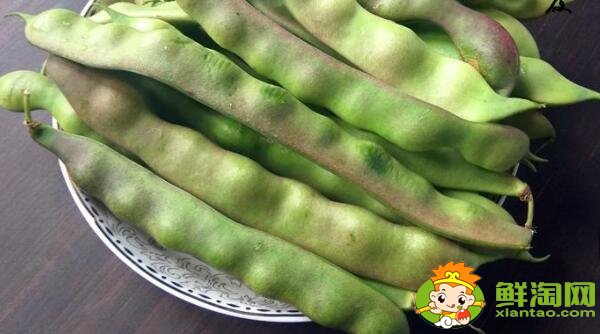 油豆有几种,刀豆和油豆的区别