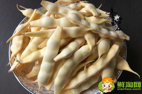 油豆有几种,刀豆和油豆的区别