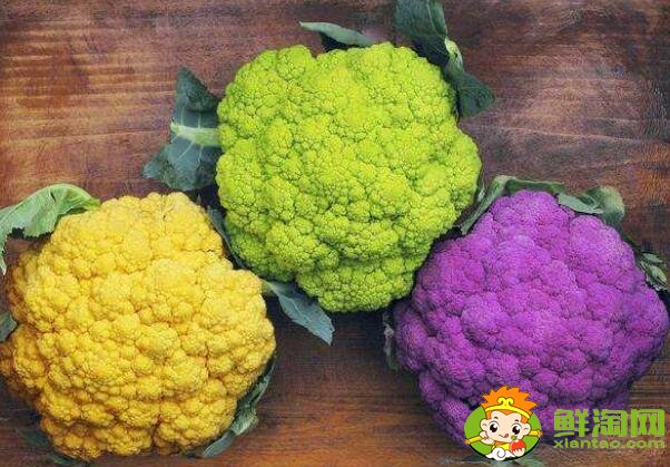 菜花有几种图片和名字,菜花的生长期是多少天