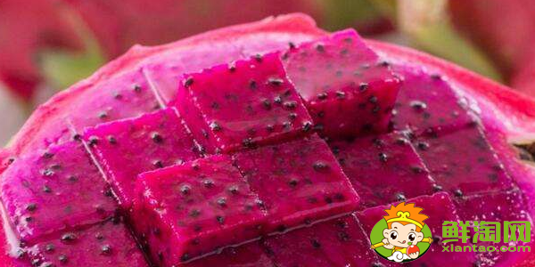 火龙果红几天算是成熟,火龙果成熟期有多长