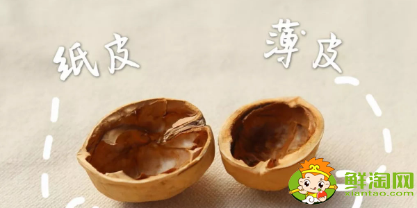 薄皮核桃和厚皮核桃哪个好,薄皮核桃和纸皮核桃有什么区别