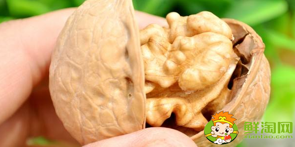 纸皮核桃哪个牌子好,纸皮核桃是漂白过的吗