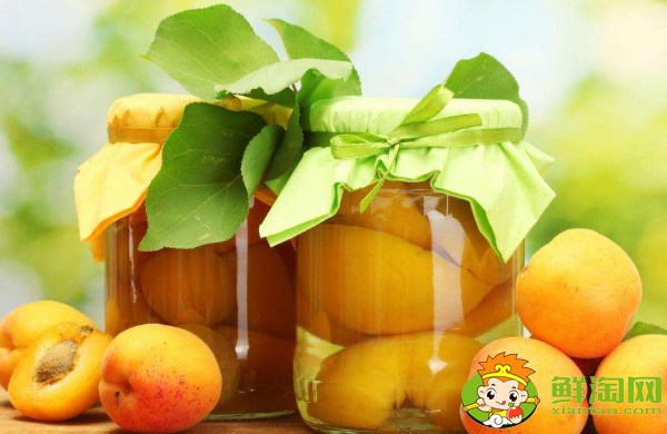 杏子多了怎么处理,杏子的贮藏方法有哪些