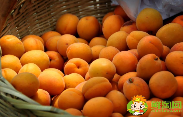 杏子多了怎么处理,杏子的贮藏方法有哪些