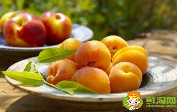 杏子怎么去核,杏子如何去涩