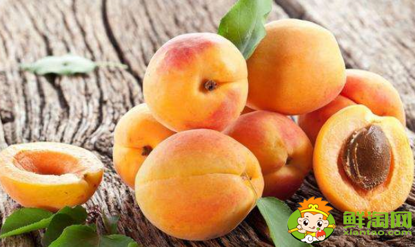 吃杏子要剥皮吗,做杏子罐头要剥皮吗