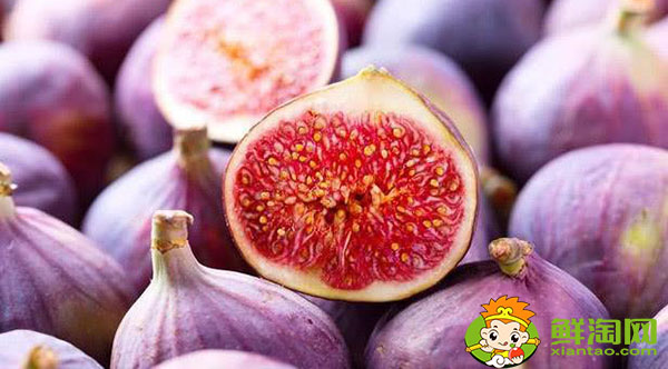新鲜无花果可以种吗,新鲜无花果多少钱一斤