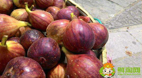 新鲜无花果怎么保存时间长,新鲜无花果怎么保存方法