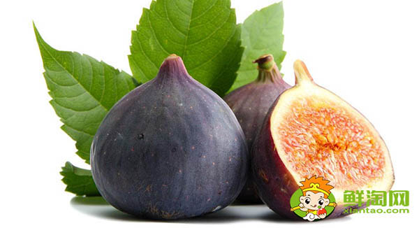 无花果泡水用干的还是鲜的,鲜无花果叶可以泡水喝吗