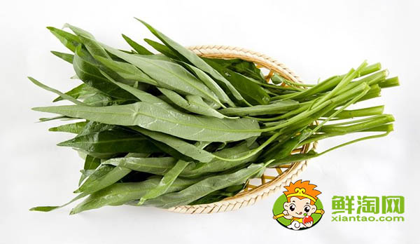 柳叶空心菜好还是大叶空心菜好,柳叶空心菜种子怎么种