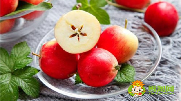 北方的沙果什么时候成熟,东北的沙果长什么样