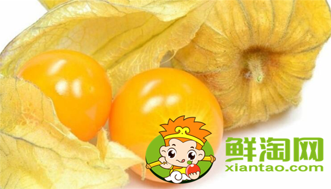 姑娘果和东北姑娘是一个吗,东北姑娘果能放多长时间
