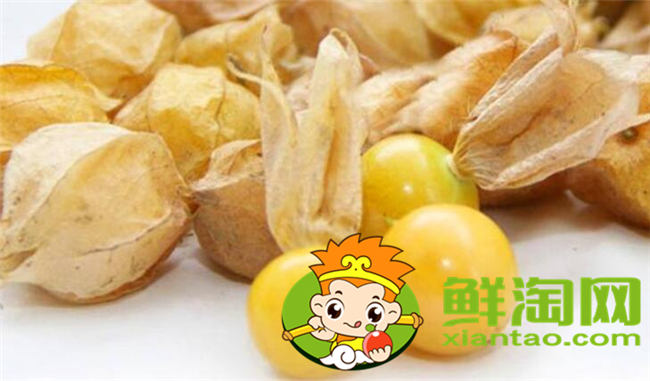 姑娘果和东北姑娘是一个吗,东北姑娘果能放多长时间