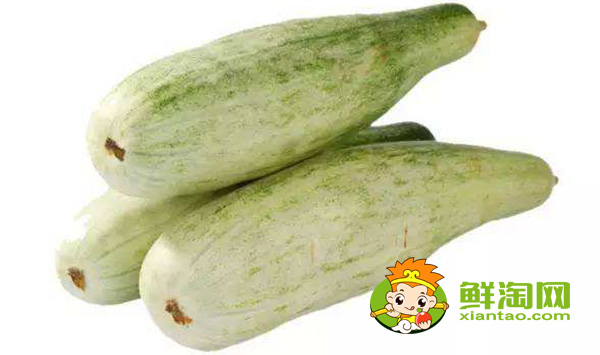 羊角蜜甜瓜里的瓤能吃吗,羊角蜜博洋和普通的区别
