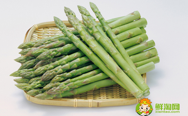 芦笋扦插技巧,芦笋长大是什么样子的