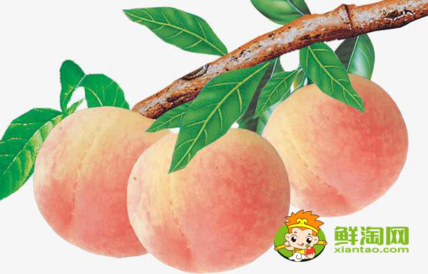 桃子的热量高吗,一个桃子的热量是多少大卡