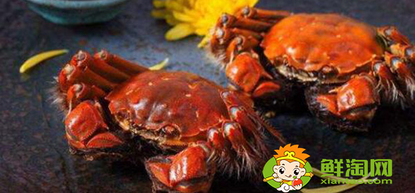 阳澄湖大闸蟹上市季节,阳澄湖大闸蟹什么时候最好吃