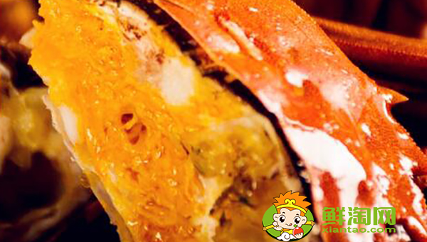 大闸蟹属于什么蟹,每年吃大闸蟹的季节几月到几月