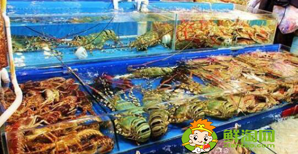 阳澄湖大闸蟹批发市场地址,阳澄湖大闸蟹批发哪个市场便宜