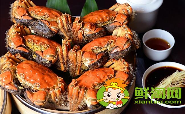 黄河口大闸蟹最佳季节,黄河口大闸蟹和阳澄湖大闸蟹的区别