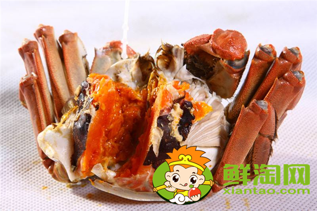 黄河口大闸蟹最佳季节,黄河口大闸蟹和阳澄湖大闸蟹的区别