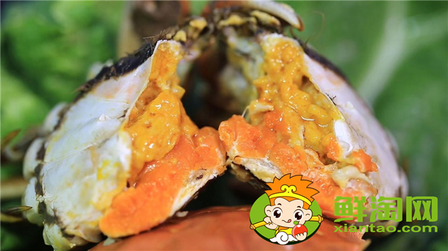 黄河口大闸蟹蒸多久,黄河口大闸蟹怎么存放